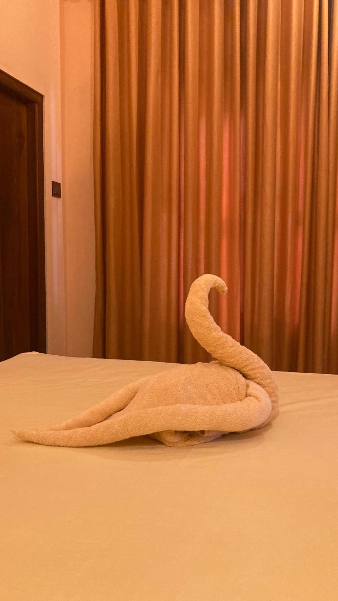 Ayubowan Hiriketiya Appartement Zuid-Dikwella Buitenkant foto